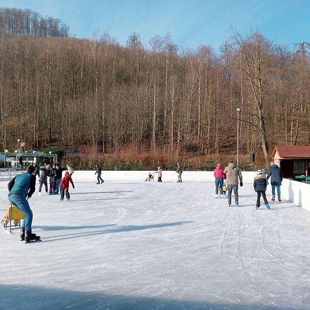 Fewo-Radau Bad Harzburg Luaran gambar